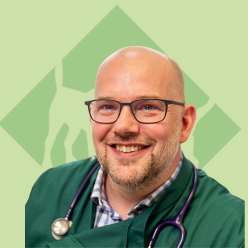 Dane Walker MA VetMB GPCertSAS MRCVS