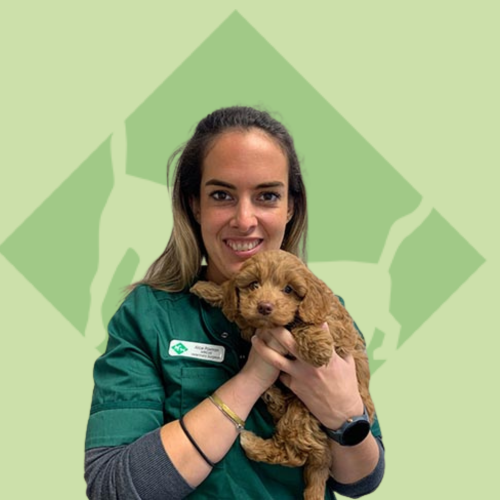 Alice BVSc BSc MRCVS