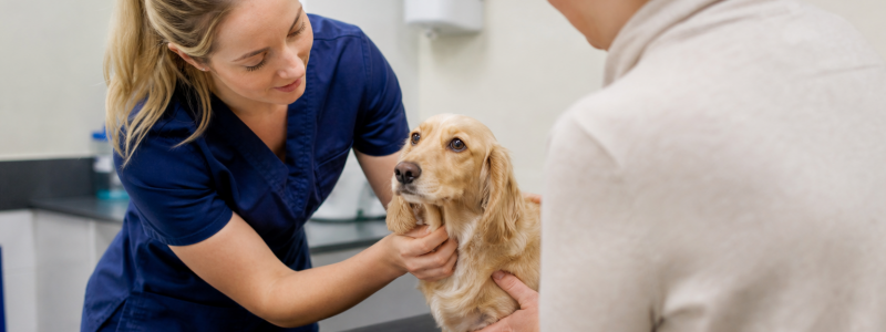 VIP Health Plans in Tooting: Are They Worth It?