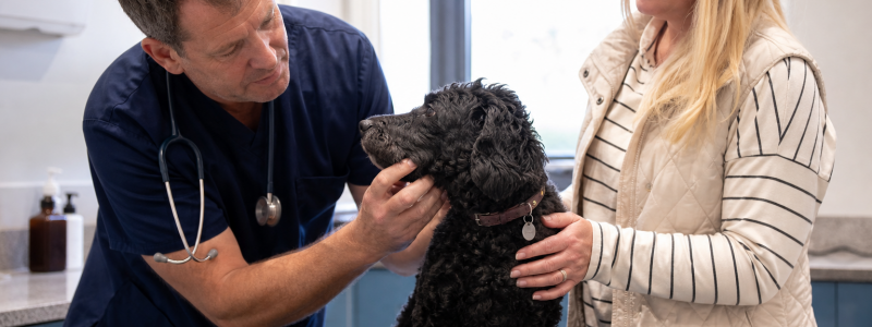 How Preventative Healthcare Saves Money